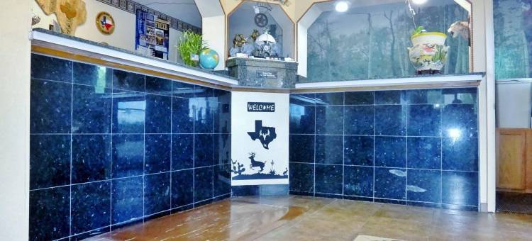 弗里尔行政旅馆和开间(Freer Executive Inn & Suites)图片