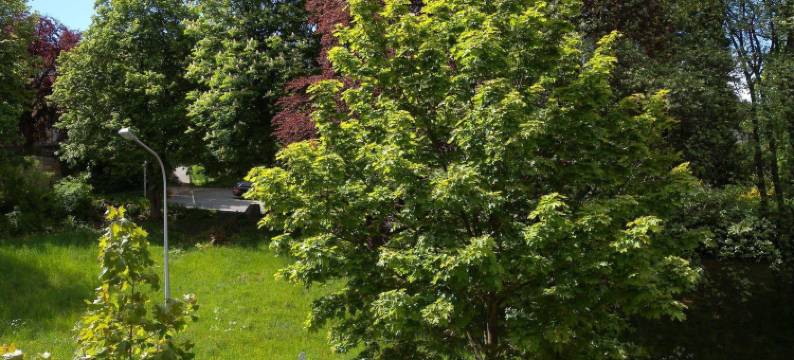 戈斯拉尔旅馆(Hostel Goslar)图片