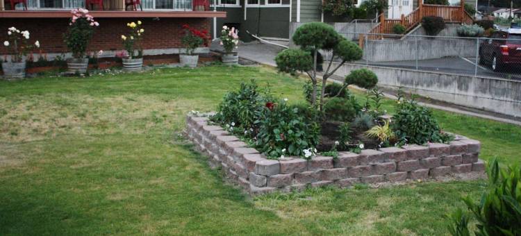 奇黑利斯瑞莱克斯酒店(Relax Inn Chehalis)图片