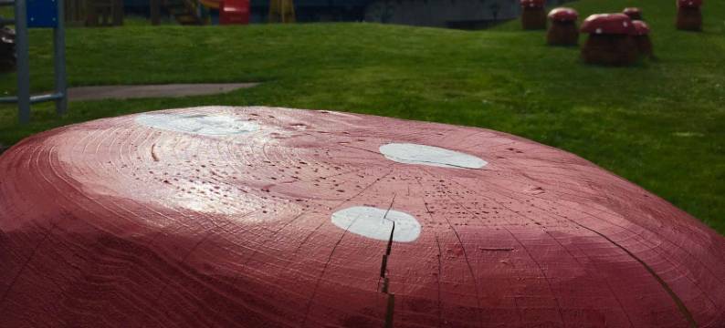 凯乐酒店(Hôtel Cailler & Bains de la Gruyère)图片