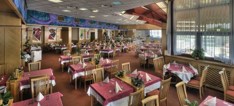 阿扎酒店 - 温泉3000 - 萨瓦酒店及度假村(Hotel Ajda - Terme 3000 - Sava Hotels & Resorts)图片