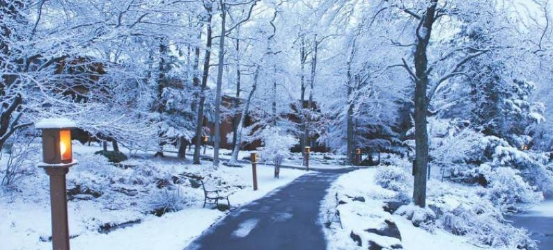 伍德罗克松树度假酒店(Woodloch Pines Resort)图片