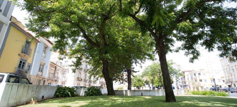 索拉里斯酒店(Hotel Solaris)图片