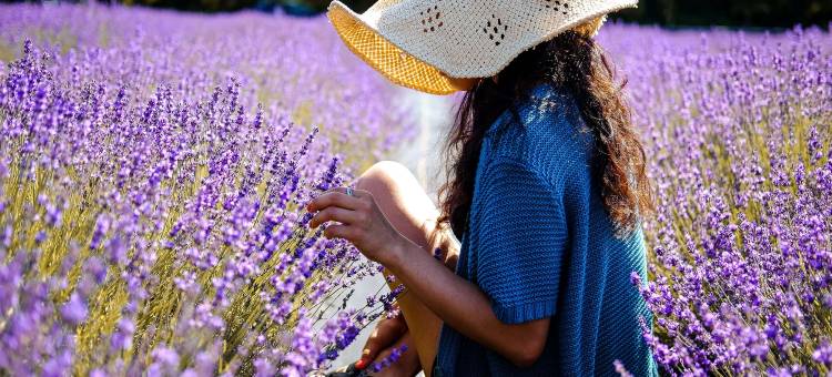 瓦尔博森克, The Originals Relais(Val Baussenc, the Originals Relais)图片