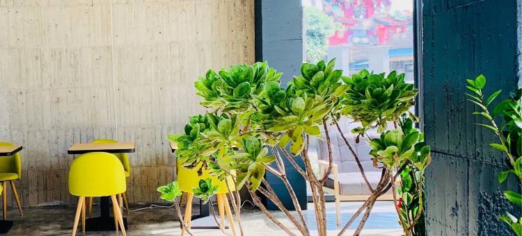 七星潭泥作轻旅民宿图片