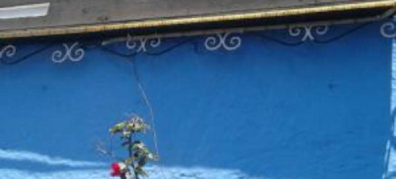 达拉巴卡酒店(Dar Lbakal)图片