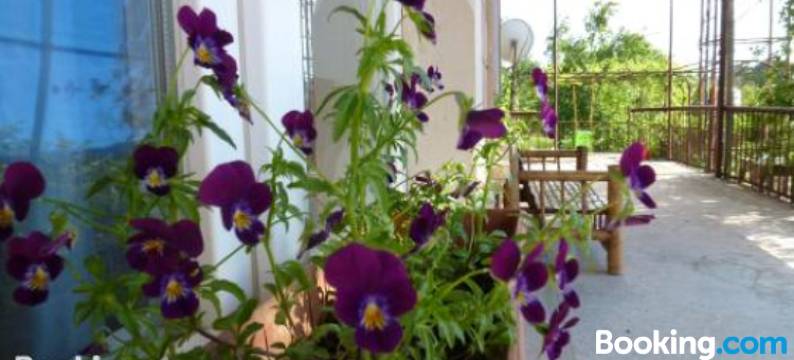 Country House Uliana图片