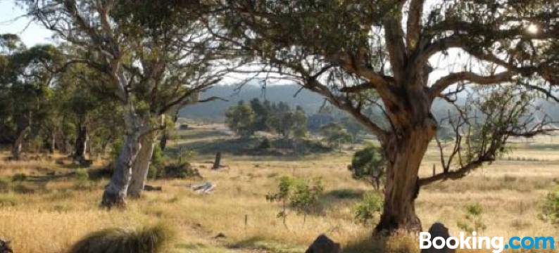 Ecocrackenback 7 Sustainable Chalet. Stay 3, Pay 2 Summer 2026图片