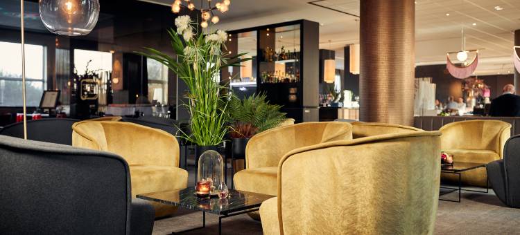 布鲁塞尔机场范德瓦尔克酒店(Van der Valk Hotel Brussels Airport)图片