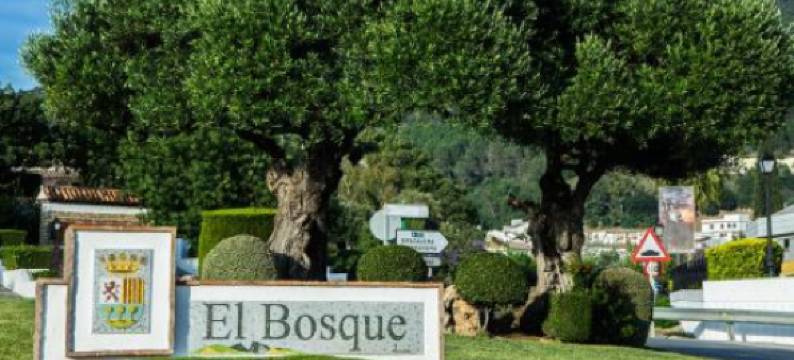 卡萨吉尔公寓酒店(Apartamentos Casa Gil)图片