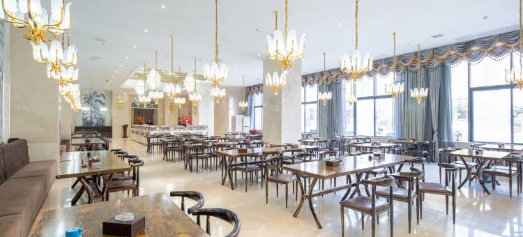 六安环月万乘国际酒店图片