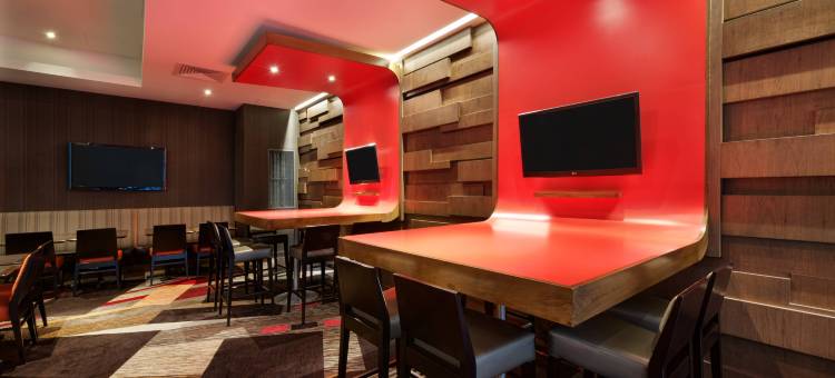 纽约曼哈顿／时代广场西万怡酒店(Courtyard New York Manhattan/Times Square West)图片