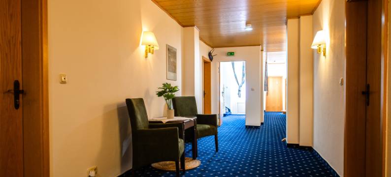 法兰克谢尔霍夫酒店(Hotel Fränkischer Hof)图片