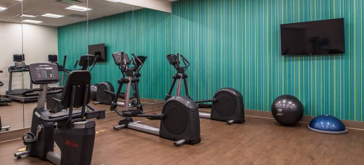 法姆维尔智选假日套房酒店(Holiday Inn Express & Suites Farmville)图片