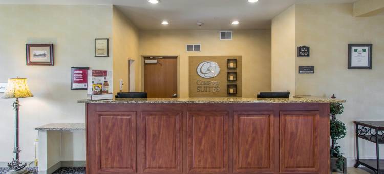 日内瓦湖城东舒适套房酒店(Comfort Suites Lake Geneva East)图片