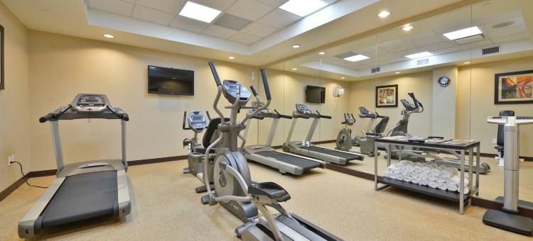 Holiday Inn 纽约下东城假日酒店(Holiday Inn NYC - Lower East Side)图片