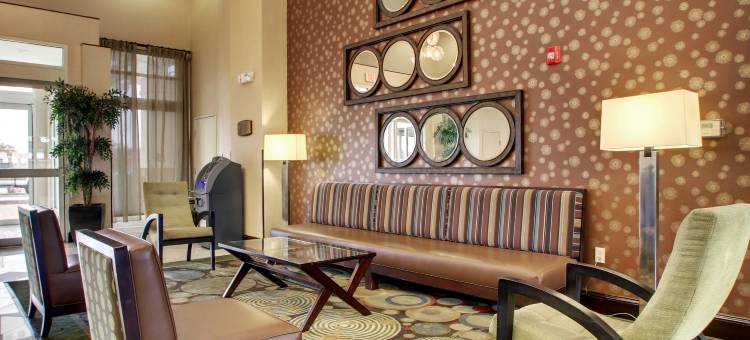 东么利迪恩I 59 / I 20假日酒店(Holiday Inn Meridian E - I 20/I 59)图片