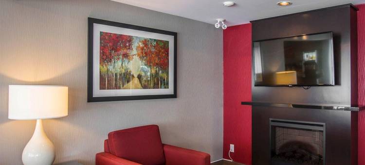 舒适酒店(Comfort Inn)图片