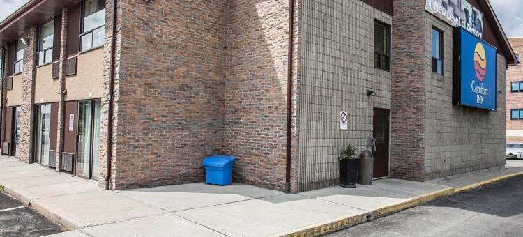 舒适酒店(Comfort Inn)图片