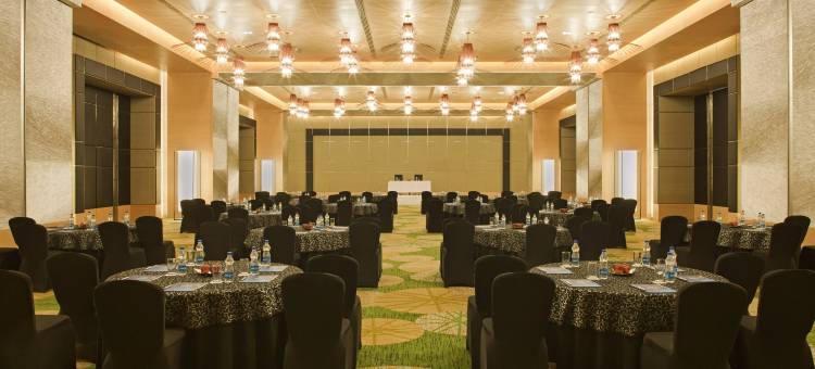 阿姆利则丽笙蓝标酒店(Radisson Blu Hotel Amritsar)图片