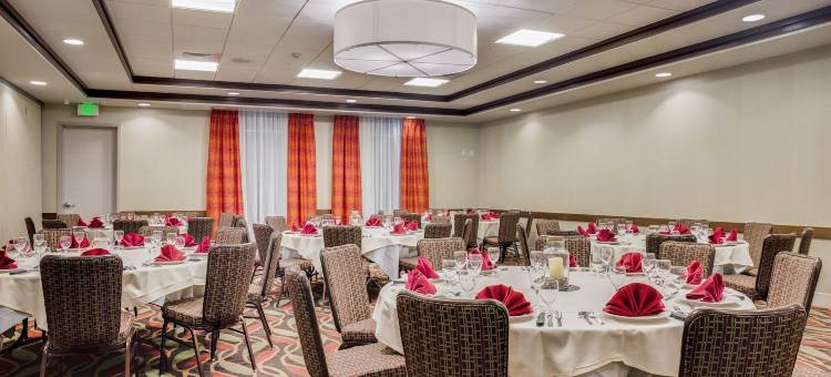 北休斯敦斯普林希尔顿花园酒店(Hilton Garden Inn North Houston/Spring)图片