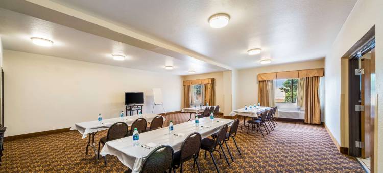 品质酒店套房圣安东尼奥布鲁克斯市基地(Quality Suites San Antonio Brooks City Base)图片