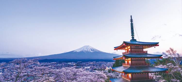 乐天住宿HOUSE x WILL STYLE 富士吉田松山(Rakuten STAY HOUSE x WILL STYLE Fujiyoshida Matsuyama)图片