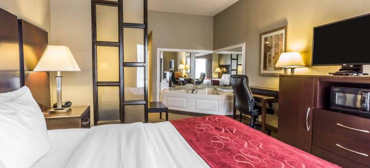 舒适套房酒店(Comfort Suites)图片