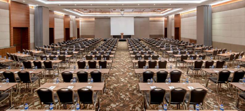 伊斯坦布尔图兹拉丽笙蓝标水疗酒店(Radisson Blu Hotel Spa Istanbul Tuzla)图片