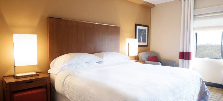 温尼伯南部福朋喜来登酒店(Four Points by Sheraton Winnipeg South)图片