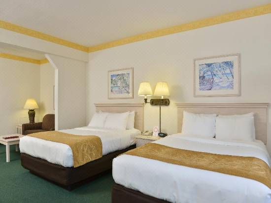Comfort Suites Maingate East Hotel Reviews And Room Rates Trip Com
