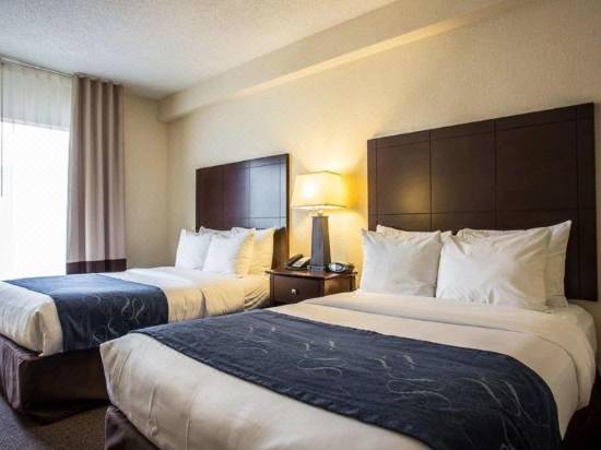 Comfort Suites Gastonia Charlotte Hotel Reviews And Room Rates