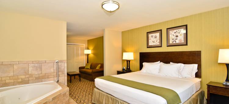 智选假日套房酒店威利斯顿 by IHG(Holiday Inn Express & Suites Williston)图片