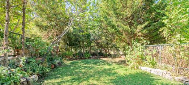 阿勒瓦度假屋(Villa Aleva)图片