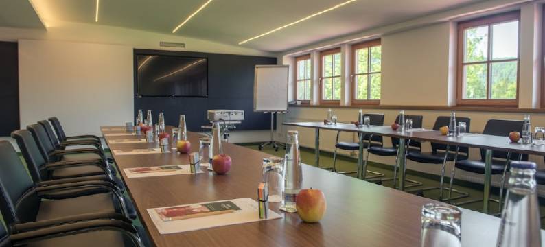 罗莱夏朵古特斯泰恩巴赫木屋酒店(Relais & Châteaux Gut Steinbach Hotel Chalets Spa)图片