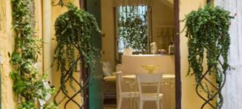 Chèz Lumière图片