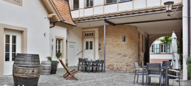 奥特斯坦德索夫弗赖因斯海姆酒店(Altstadthof Freinsheim)图片