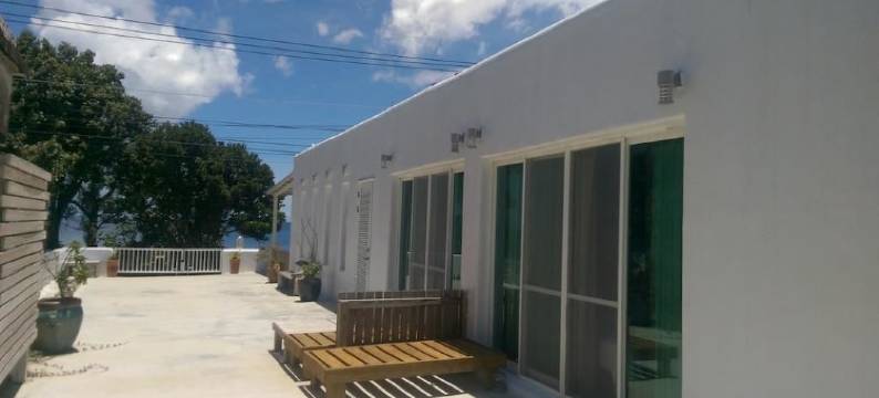 海洋阿帕朵图片