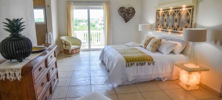 蓬塔米塔阿莫顶层房公寓酒店(Punta Mita Penthouse de Amor)图片
