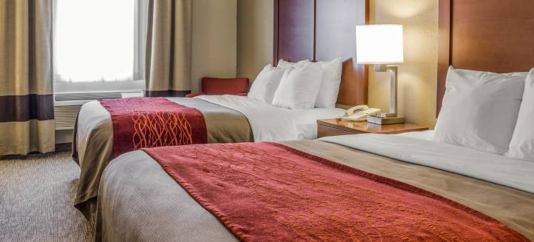 奥尔托纳速8酒店(Super 8 by Wyndham Altoona)图片