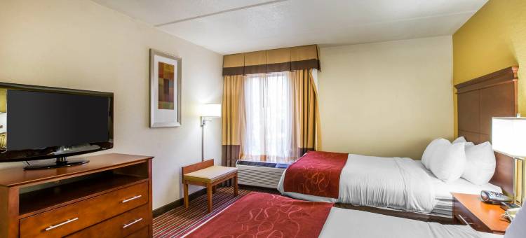 希尔顿阿尔普哈雷塔罗斯威尔Spark酒店(Spark by Hilton Alpharetta Roswell)图片