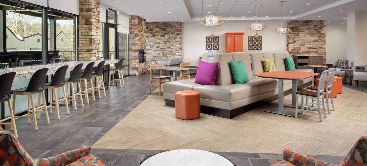 阿什维尔比尔特莫尔村希尔顿惠庭酒店(Home2 Suites by Hilton Asheville Biltmore Village)图片