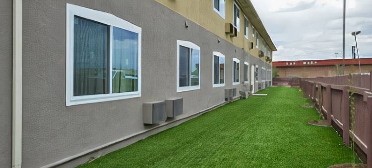 阿拉莫萨速8酒店(Super 8 by Wyndham Alamosa)图片