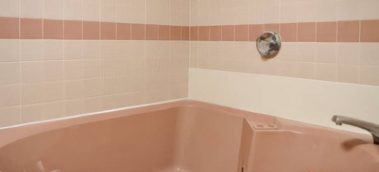 诺克斯维尔西-法拉古特速8酒店(Super 8 by Wyndham Knoxville West/Farragut)图片