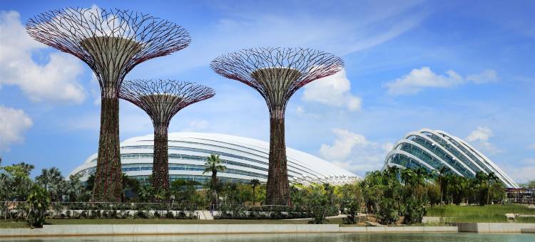 新加坡喜来登酒店(Sheraton Towers Singapore)图片