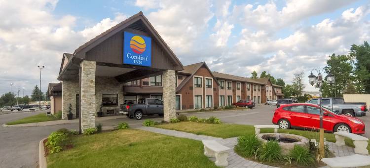 康福特酒店(Quality Inn)图片