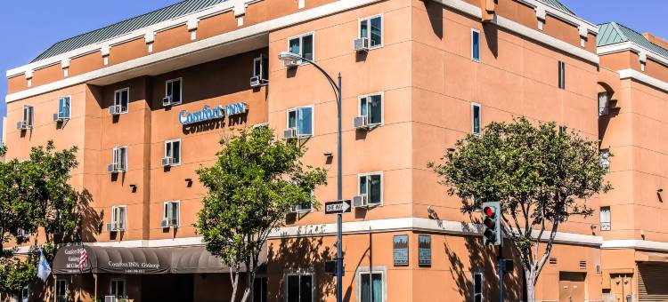盖斯兰姆普会议中心舒适酒店(Comfort Inn Gaslamp Convention Center)图片