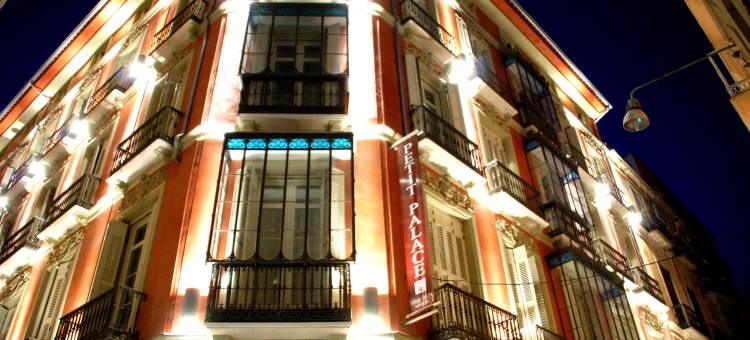 马拉加佩蒂特宫广场酒店(Petit Palace Plaza Málaga)图片