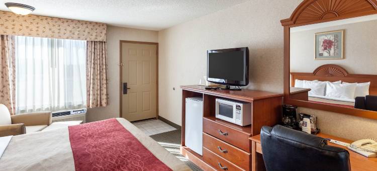 列克星敦舒适酒店(Comfort Inn)图片