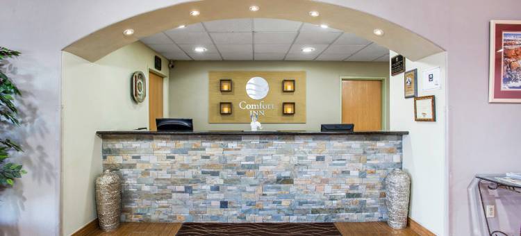 舒适套房酒店(Comfort Inn & Suites)图片